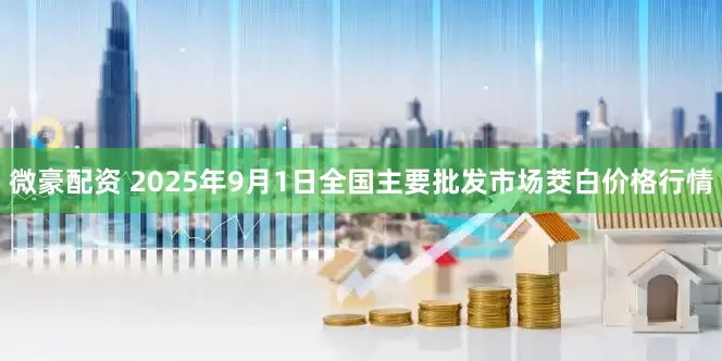 微豪配资 2025年9月1日全国主要批发市场茭白价格行情