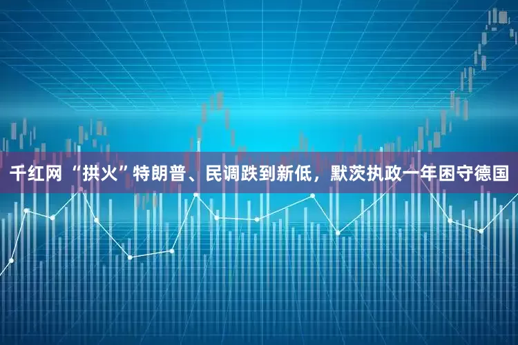 千红网 “拱火”特朗普、民调跌到新低，默茨执政一年困守德国